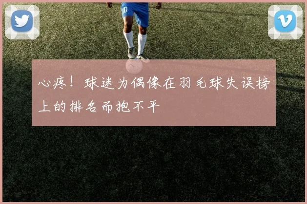 心疼！球迷为偶像在羽毛球失误榜上的排名而抱不平