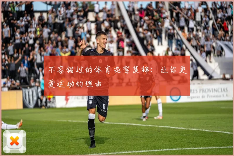 不容错过的体育花絮集锦:让你更爱运动的理由