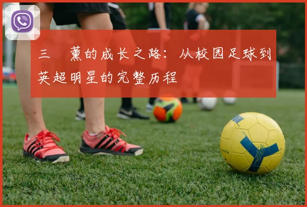 三笘薰的成长之路：从校园足球到英超明星的完整历程