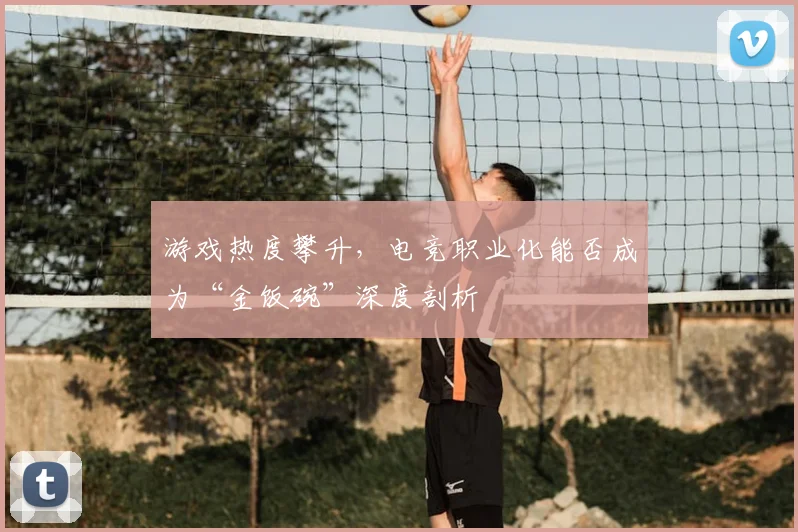 游戏热度攀升，电竞职业化能否成为“金饭碗”深度剖析